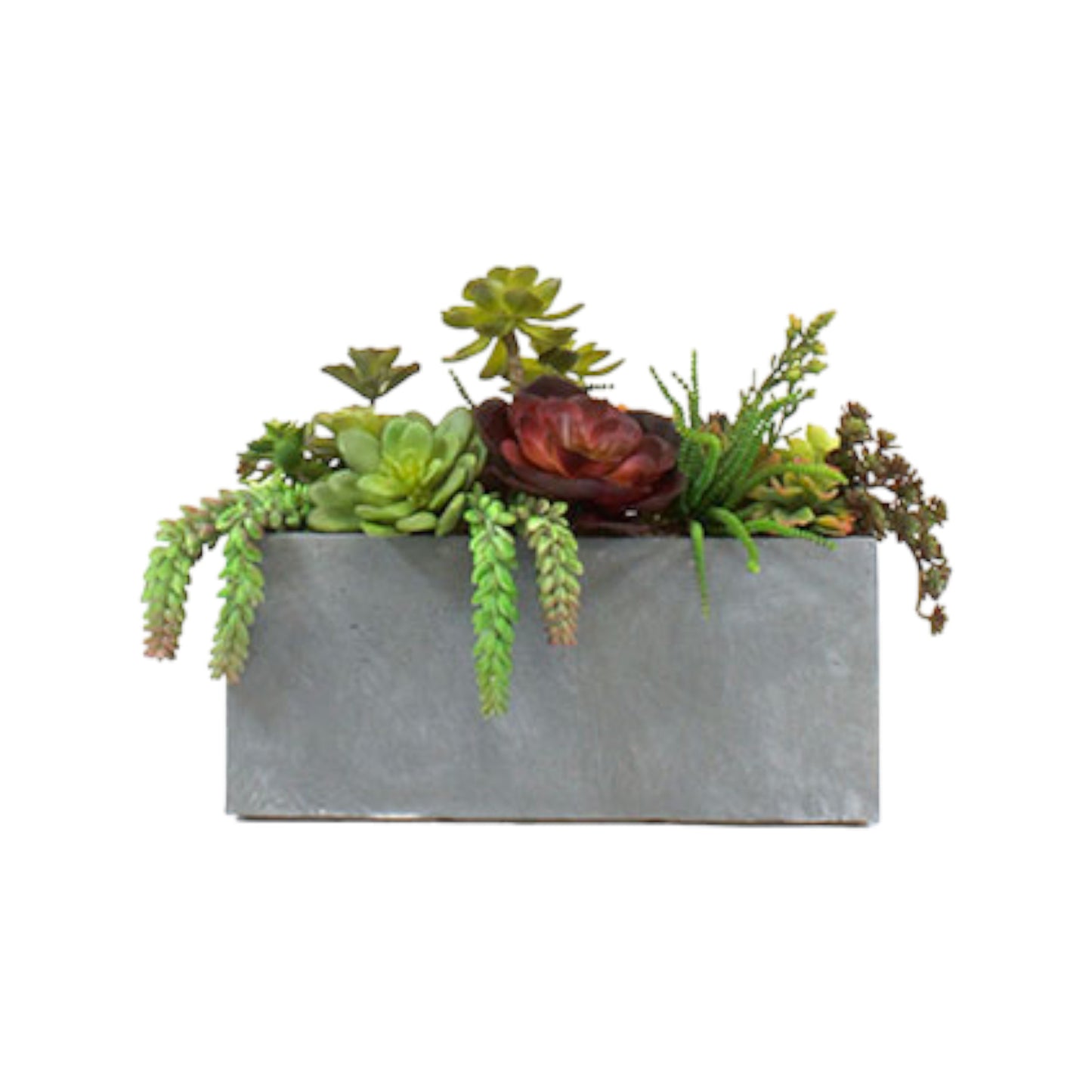 SUCCULENT IN CLAY FIBERF PLANTER POT 