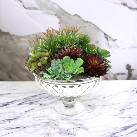 SUCCULENT MIX IN A PEDESTAL BOWL 