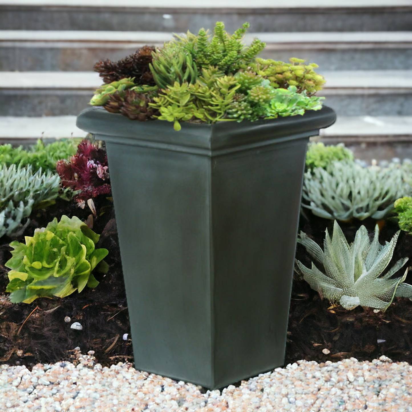 Succulents in tall black container