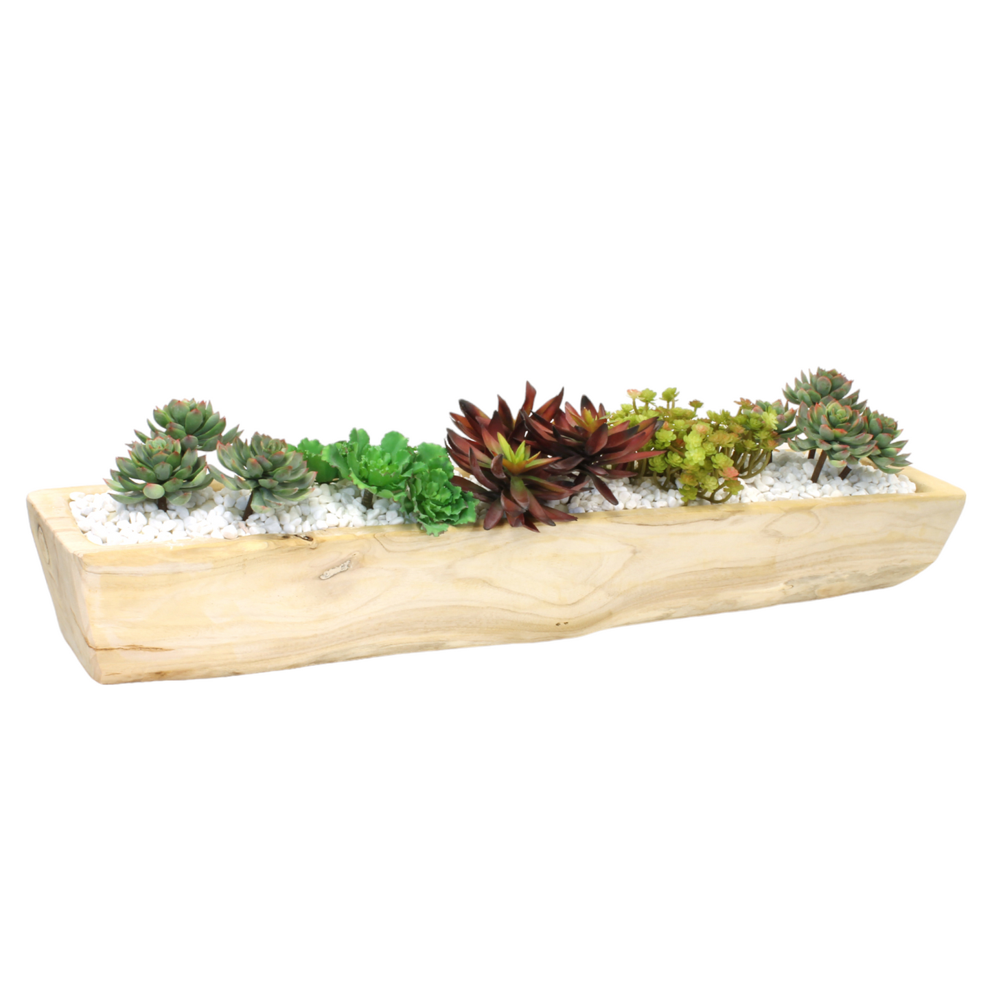 Variety of succulents in wooden box 