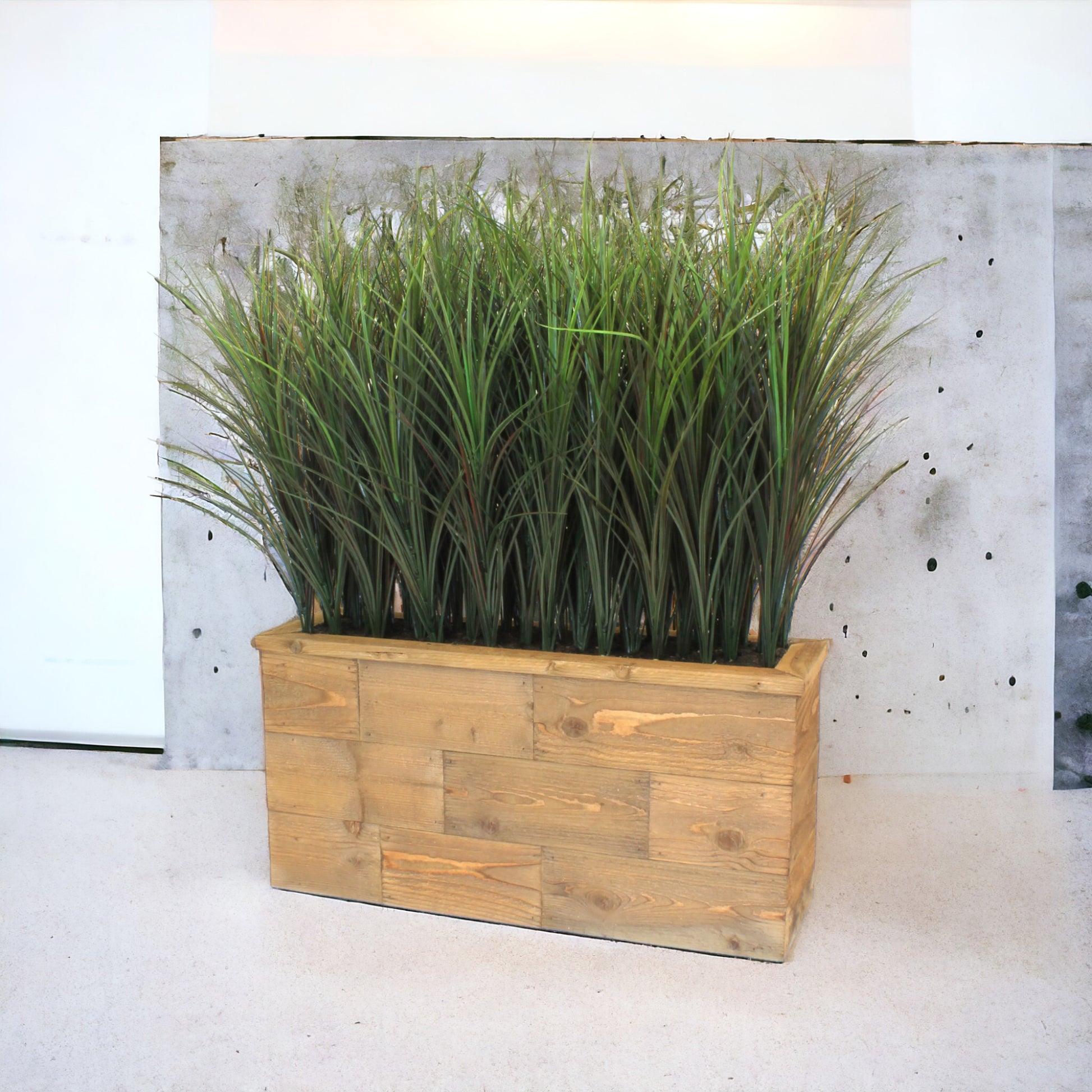 Tall reed grasses in a hand-built wood planter, providing a coastal look and feel. Recommended for indoor use.