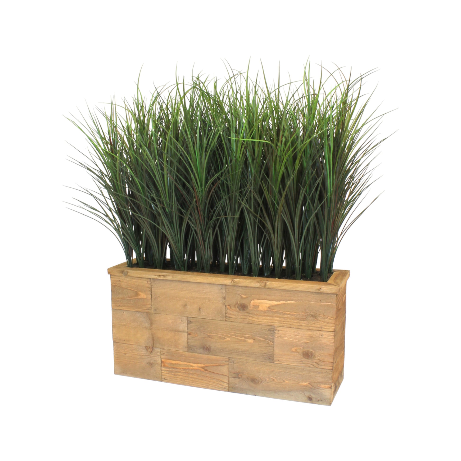 Tall reed grasses in a hand-built wood planter, providing a coastal look and feel. Recommended for indoor use.