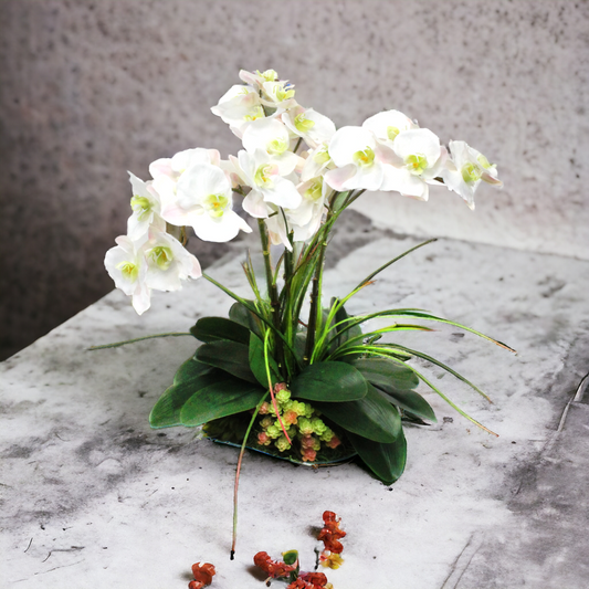 Cascading white orchid in glass bowl