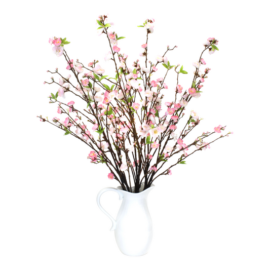 CHERRY BLOSSOMS IN PITCHER