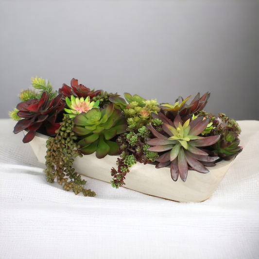 SUCCULENT MIX IN RAW WOOD BOWL