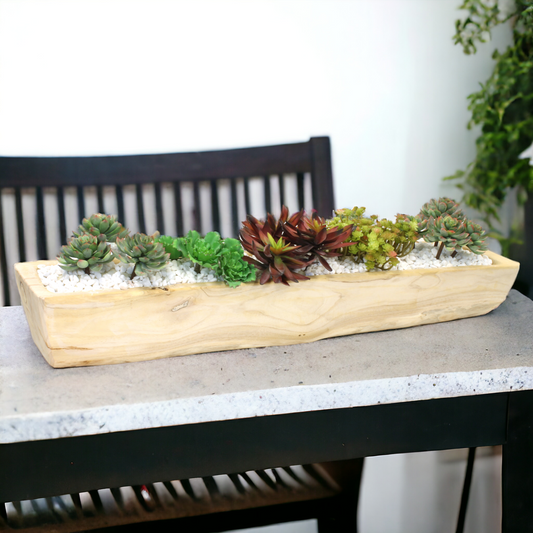 LARGE SUCCULENT MIX IN RAW WOOD BOWL