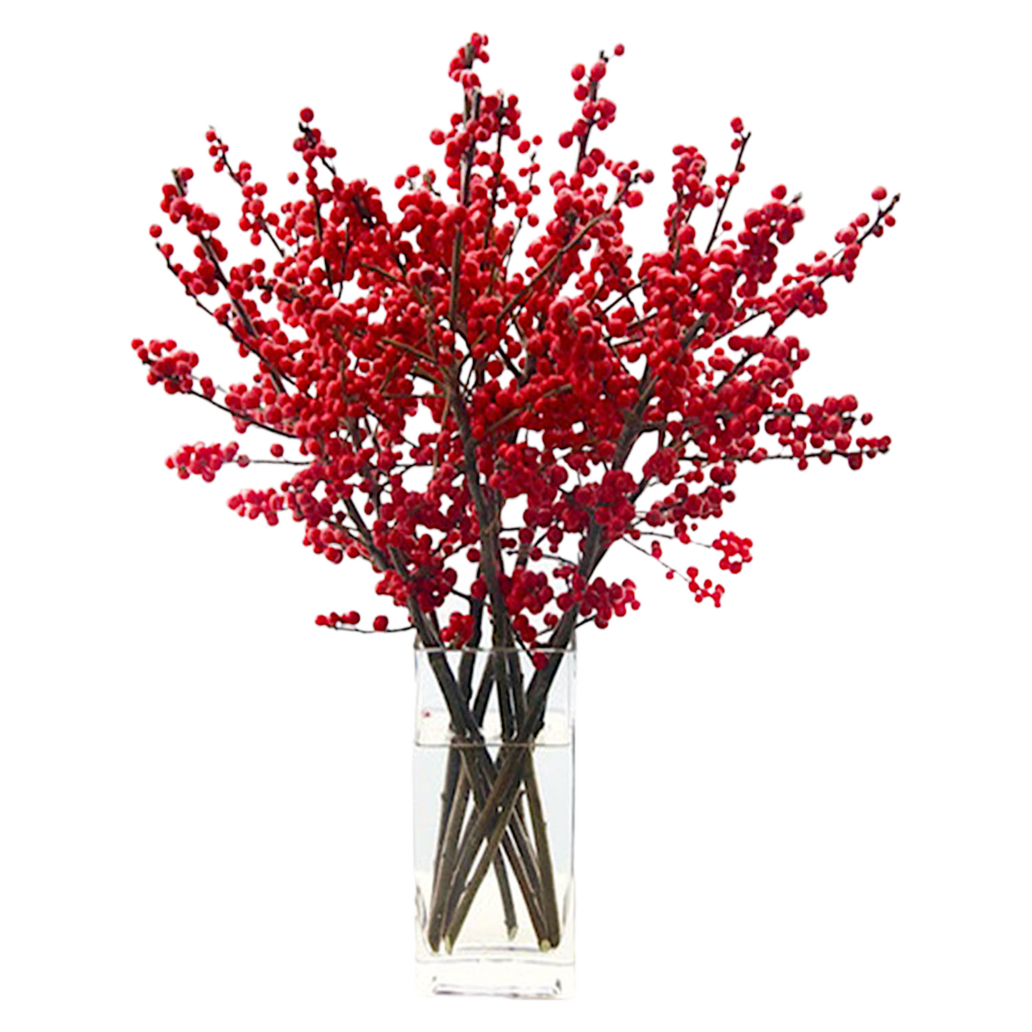 RED BERRY ARRANGEMENT