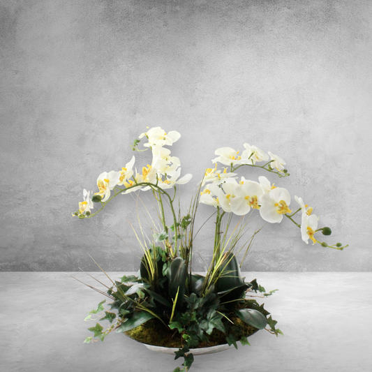 CASCADING ORCHID IN DECORATIVE BOWL