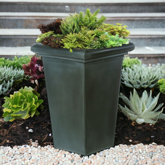 SUCCULENTS IN TALL PLANTER