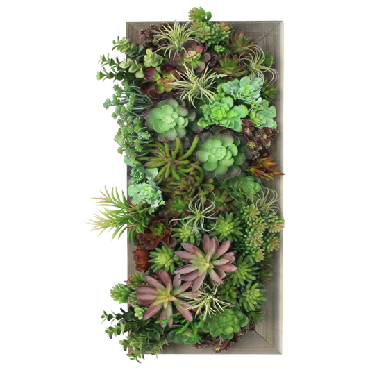 MIXED SUCCULENT WALL ART